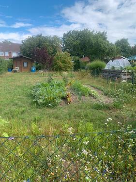Foto - Grundst&uuml;ck zur Miete in Lüneburg