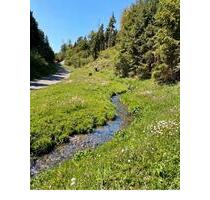 Idyllisches Freizeitgrundstück mit Alpenblick & Bachlauf – Natur - Ravensburg Eschach