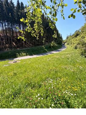 Foto - Grundst&uuml;ck in Ravensburg zur Miete