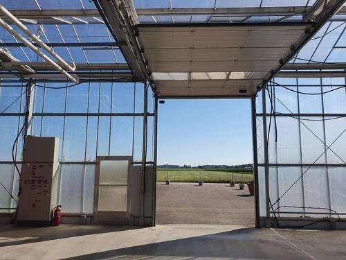 Foto - Grundstück in Nersingen