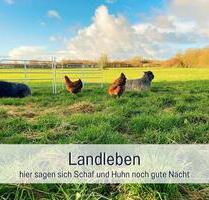 Ferienwohnung an der Ostsee zwischen Flensburg und Kappeln - Sörup