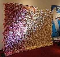 wg zimmer in Burgstraße hamburg für eine Dame