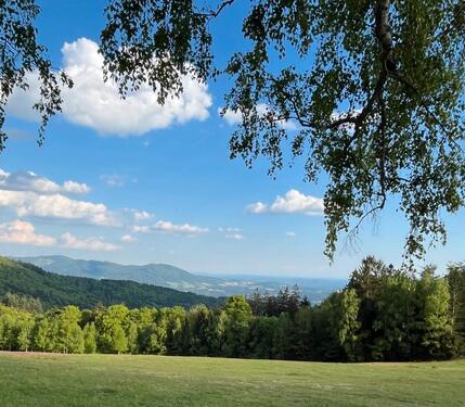 Foto - Ferienwohnung mit Aussicht 800m Höhe Hunde willkommen