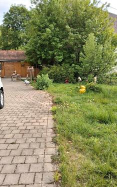Foto - 7 Zimmer Einfamilienhaus in Dillingen an der Donau