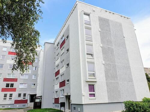 Foto - Erdgeschoßwohnung in Chemnitz zur Miete