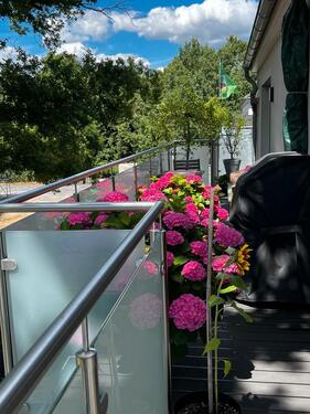 Foto - 