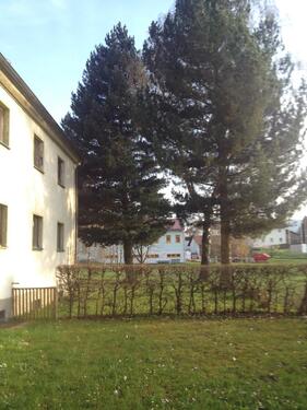 Foto - 2 Zimmer Dachgeschoßwohnung in Zachenberg