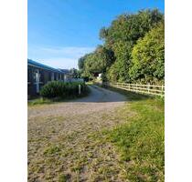 2 Zimmer Wohnung auf Pferdehof günstig zu vermieten - Cuxhaven Duhnen