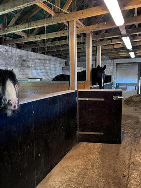 Foto - Etagenwohnung zur Miete in Cuxhaven