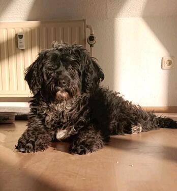 Foto - PenthausDachwohnung - 230.000,00&nbsp;EUR Kaufpreis, ca.&nbsp; 59,00&nbsp;m&sup2;