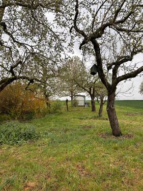 Foto - Grundst&uuml;ck in Kusterdingen
