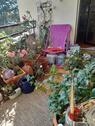 Foto - Etagenwohnung in Limburgerhof zum Kaufen