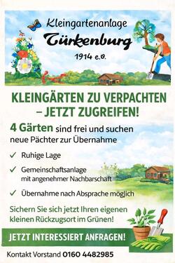 Foto - Grundst&uuml;ck zur Miete in Sonneberg