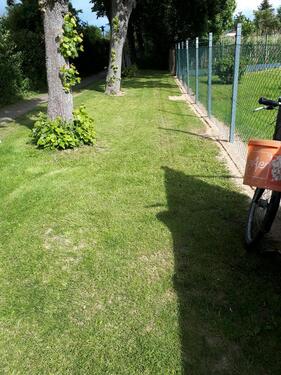 Foto - Grundst&uuml;ck zur Miete in Löwenberger Land