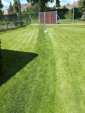 Foto - Grundst&uuml;ck in Löwenberger Land zur Miete
