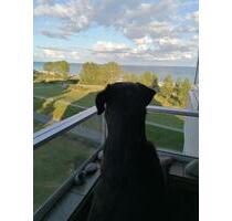 2 Zi Ferienwohnungen, Ostsee, Grömitz, Meerblick, Strandlage