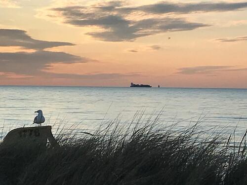 Foto - andere in Schönberg (Holstein)