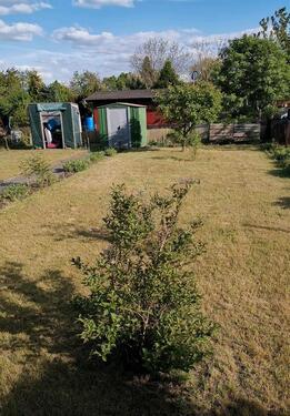 Foto - Grundst&uuml;ck zur Miete in Großräschen