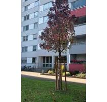 Provisionsfrei! Helle 2 Zi.- Wohnung barrierefrei Frankenthal Süd - Frankenthal (Pfalz)