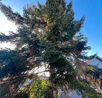 Wohnhaus mit separater Scheune + 1 ha Weideland - Bad Friedrichshall