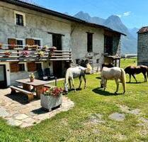 Urlaub in der Ruhe der Natur – Casa vacanze L’Èef Cacina - Sonthofen