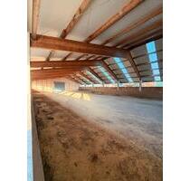 Unterstellplatz Wohnwagen Wohnmobil Van Boot bis 7m - Seelbach