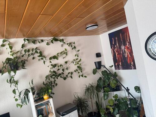 Foto - Etagenwohnung in Duisburg