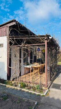 Foto - Kleingarten Pachtgarten Schrebergarten Garten im Spreewald