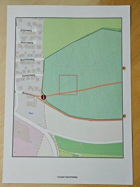 Foto - FriedWald Familienbaum in WangenGöppingen