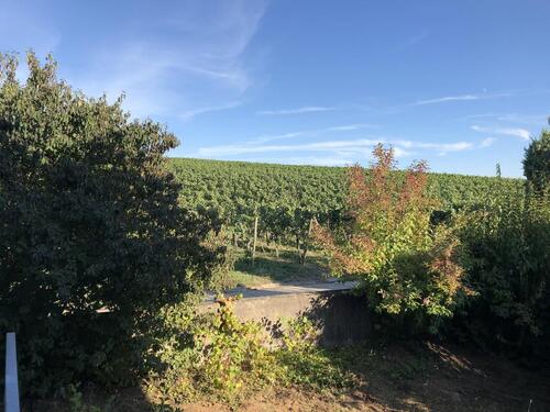 Foto - 5 Zimmer Etagenwohnung zur Miete in Weinstadt