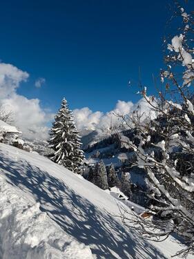 Foto - andere in Lindau (Bodensee)