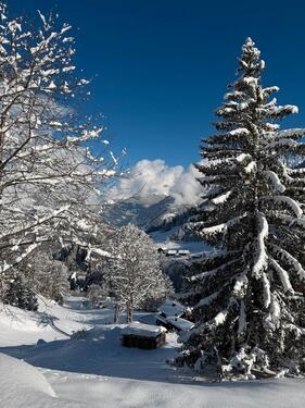 Foto - andere in Lindau (Bodensee) zur Miete