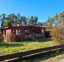 Mobilheim, Tinyhaus, Ferienhäuschen - Hitzacker (Elbe)