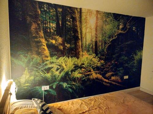 Foto - 3 Zimmer Etagenwohnung in Göttingen