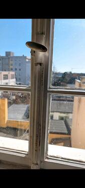 Foto - 3 Zimmer Etagenwohnung in Bamberg