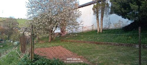 Foto - 
