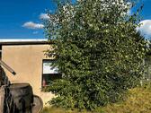 Foto - Grundstück in Treuen zur Miete
