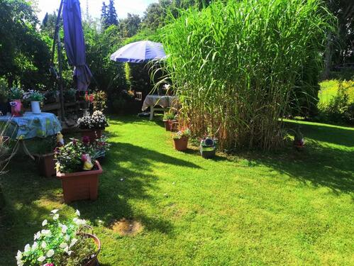 Foto - Pachtgarten abzugeben – Gartensaison 2026 kann starten