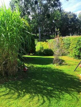 Foto - Grundst&uuml;ck zur Miete in Naumburg (Saale)