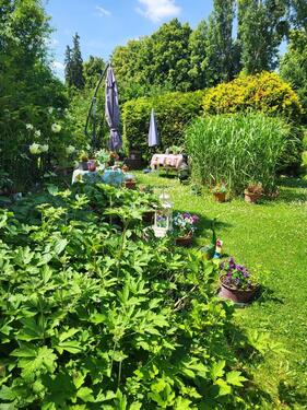 Foto - Grundst&uuml;ck in Naumburg (Saale)