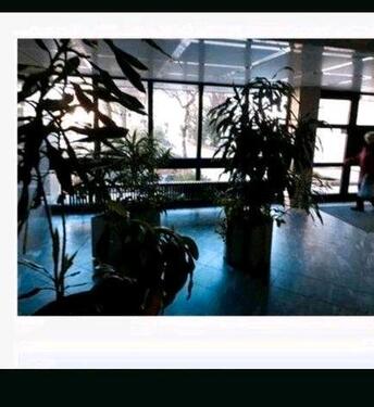 Foto - 1 Zimmer Etagenwohnung zum Kaufen in Wuppertal