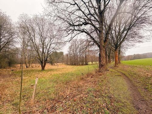 Foto - AUKTION: 13 ha Unland - 2.000,00&nbsp;EUR Kaltmiete, ca.&nbsp; 0,00&nbsp;m&sup2;