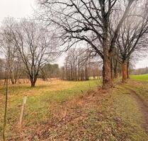 AUKTION: 13 ha Unland - 2.000,00&nbsp;EUR Kaltmiete, ca.&nbsp; 0,00&nbsp;m&sup2; in Zwönitz (PLZ: 08297)