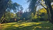 Foto - Freizeitgrundstück - 320,00 EUR Kaltmiete, ca.  0,00 m²