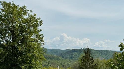 Foto - Einfamilienhaus in Bad Lauterberg im Harz zum Kaufen