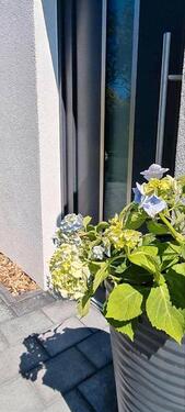 Foto - Einfamilienhaus in Ummern zum Kaufen