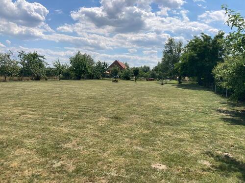 Foto - 4 Zimmer Einfamilienhaus zum Kaufen in Spantekow