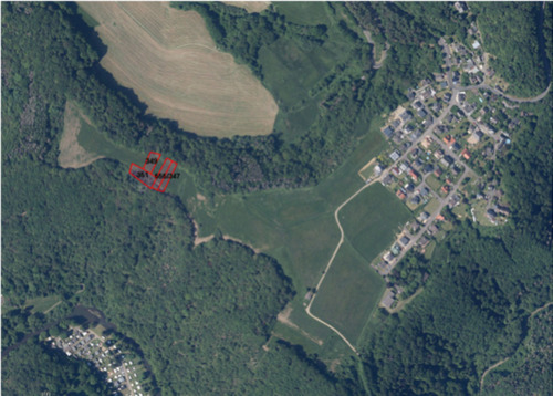 Foto - Landwirtschaftsflächen in Niederbreitbach