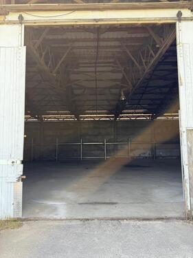 Foto - andere in Borna