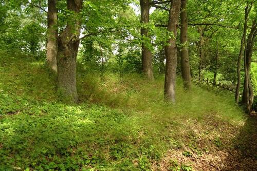 Foto - EFH in ruhiger Lage mit viel Grün in deutscher Nachbarschaft